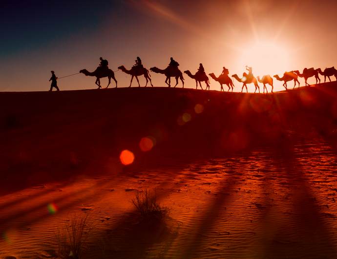 Tours & Excursions